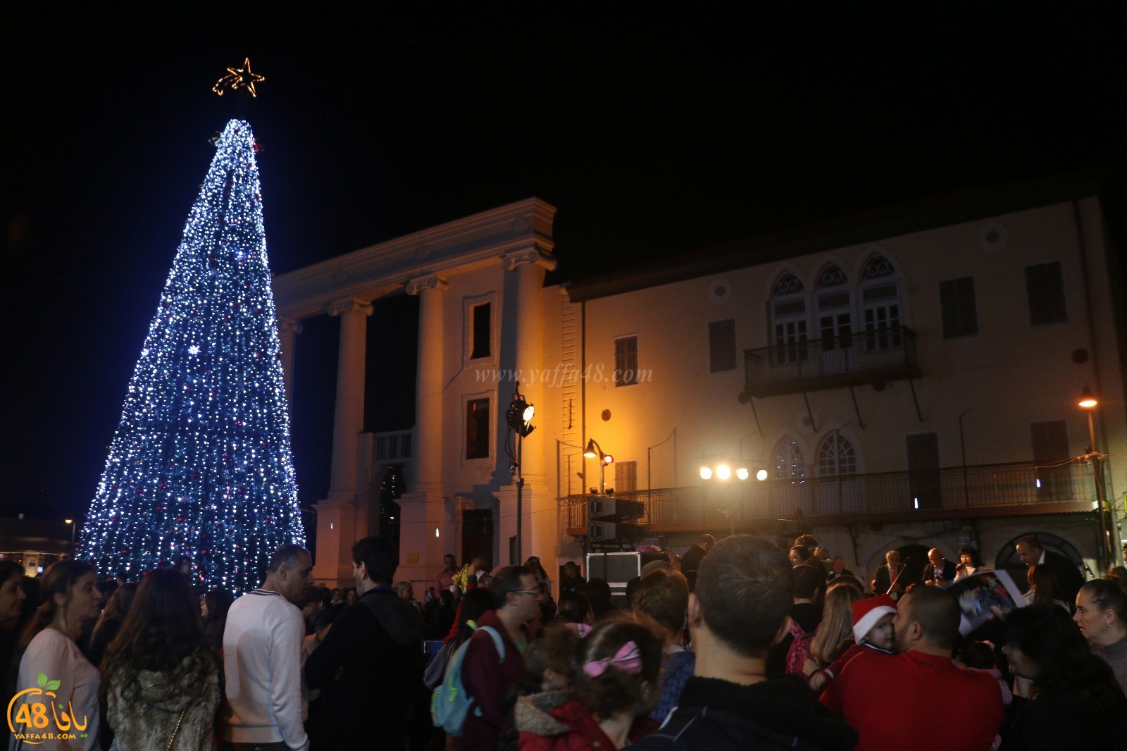 tree yaffa 5th (15).jpg